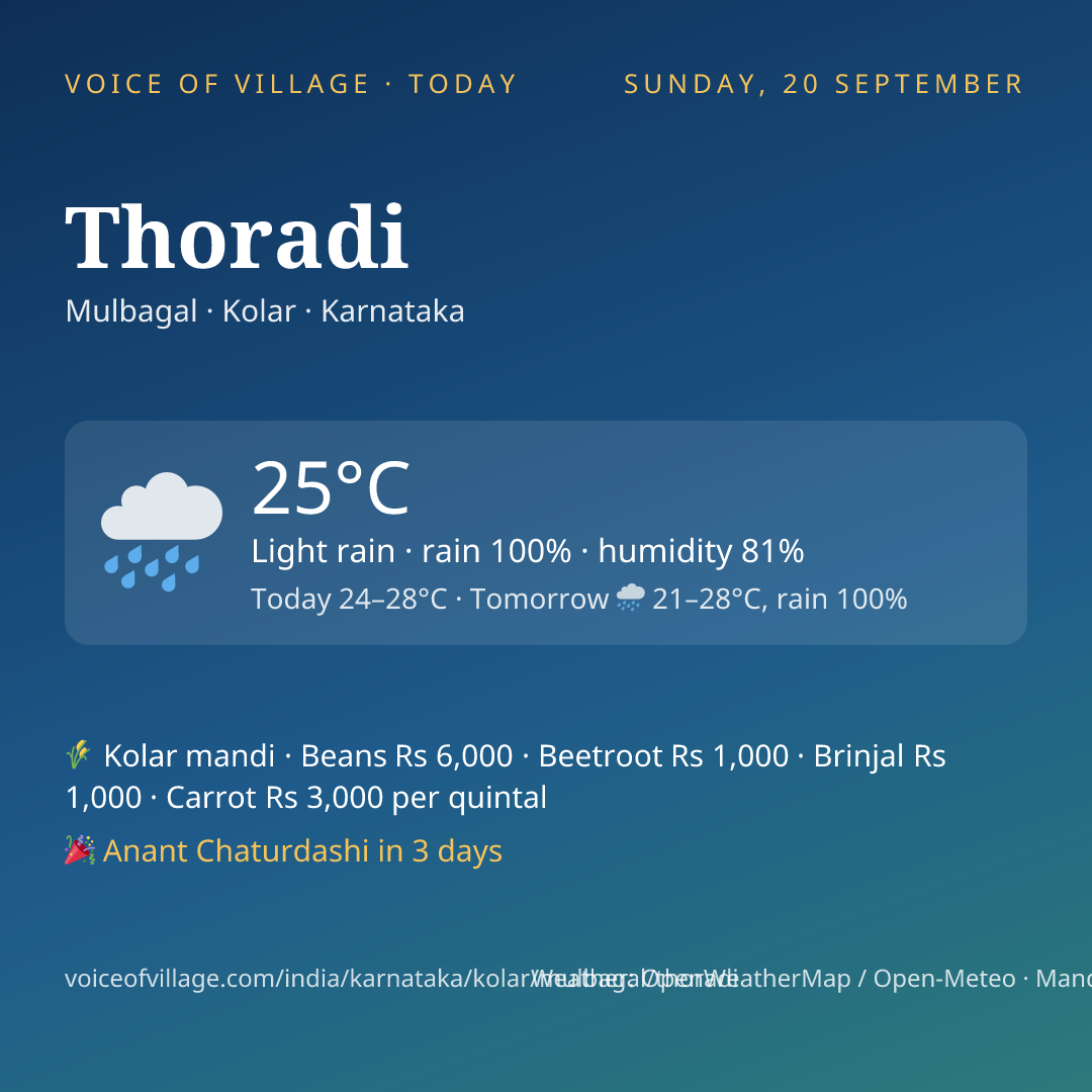 Thoradi today