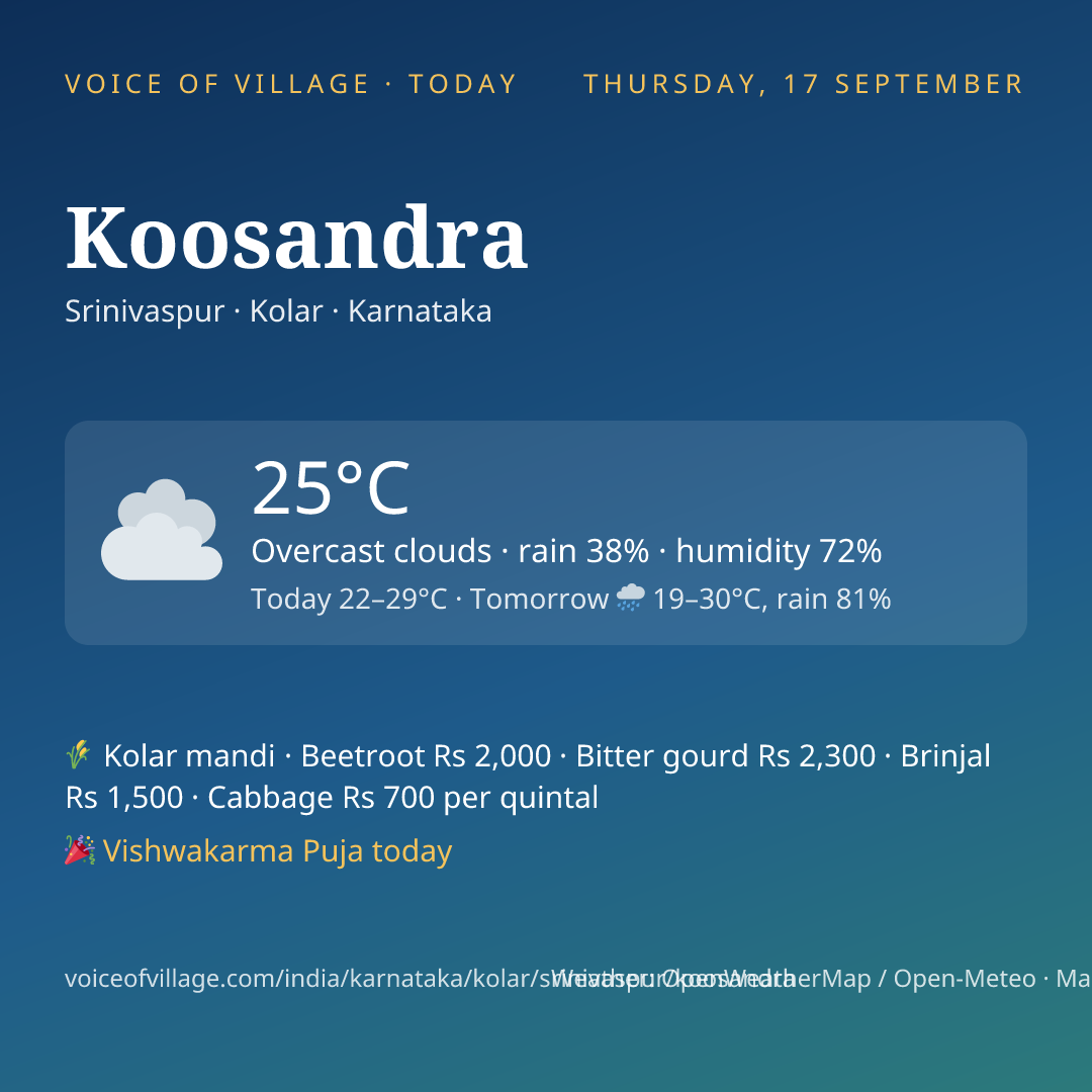 Koosandra today