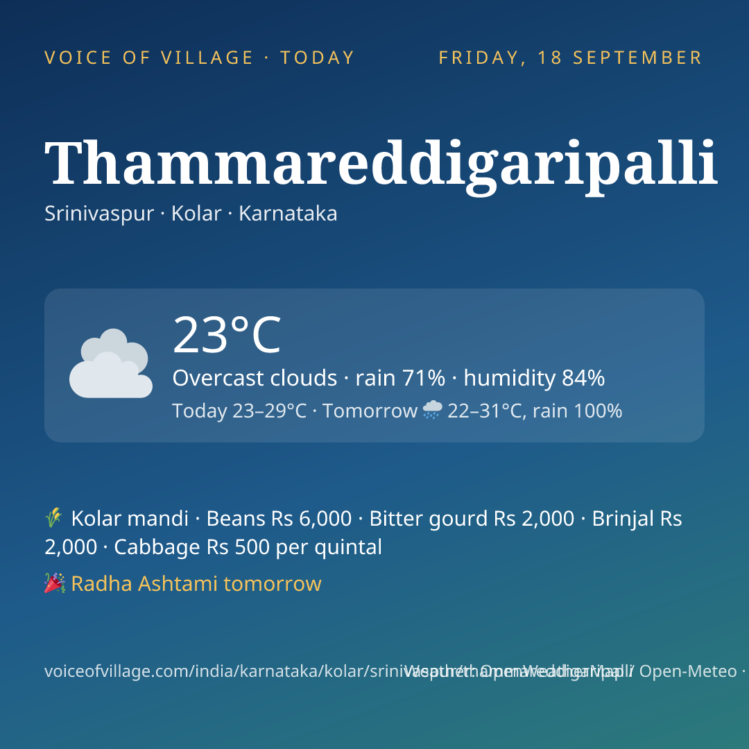 Thammareddigaripalli today