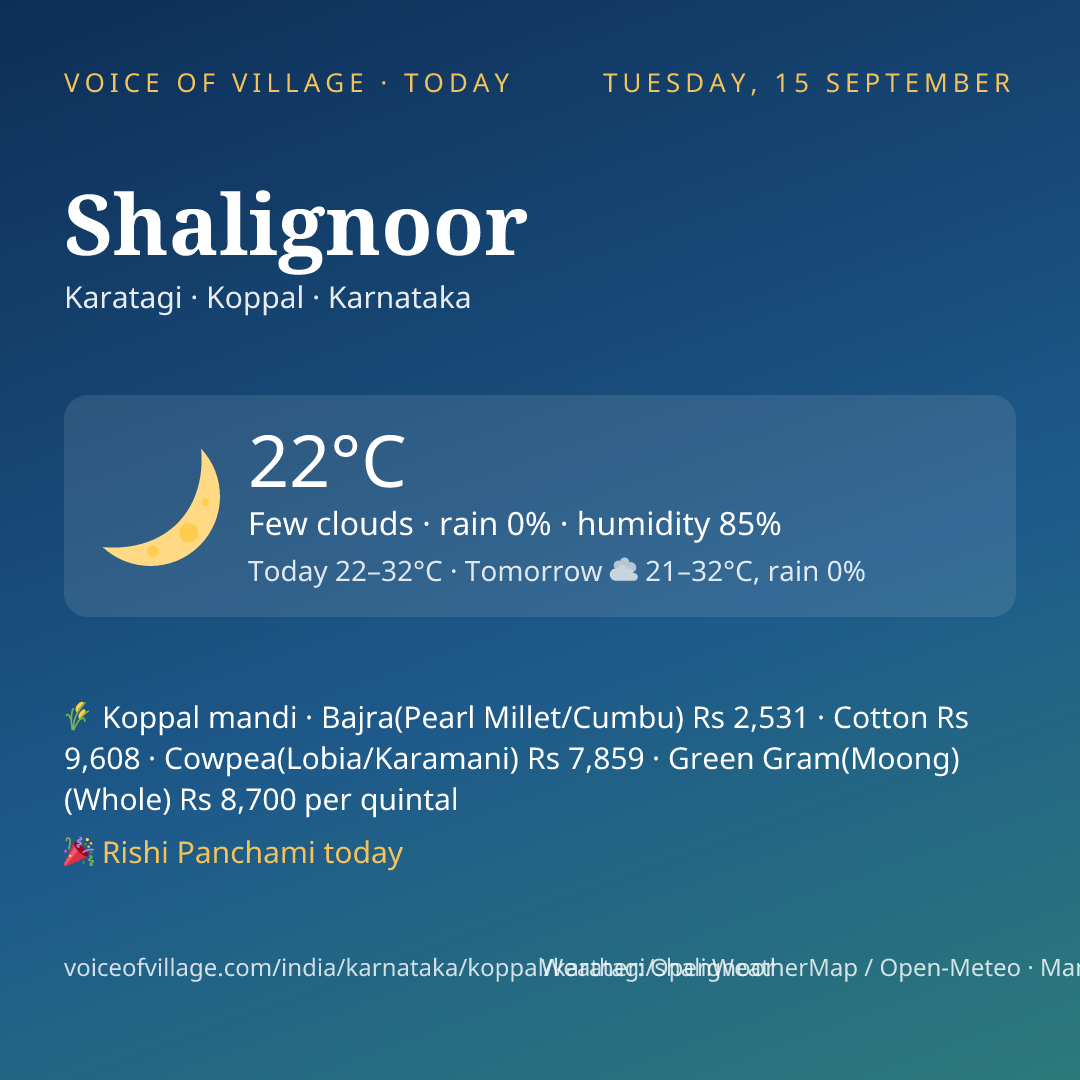 Shalignoor today