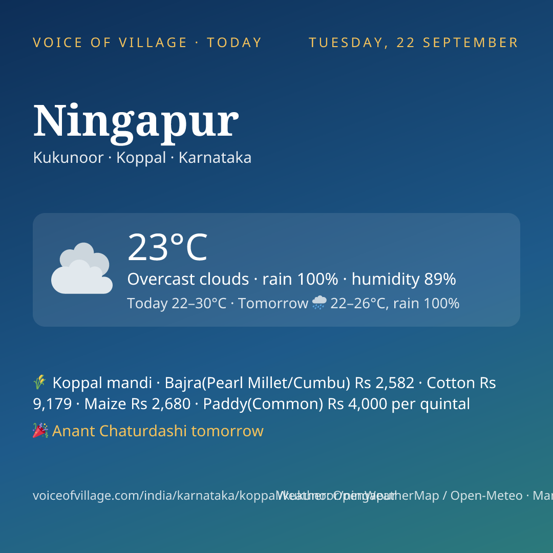 Ningapur today