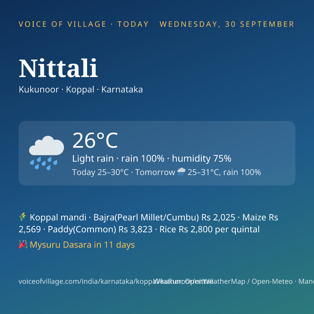 Nittali today