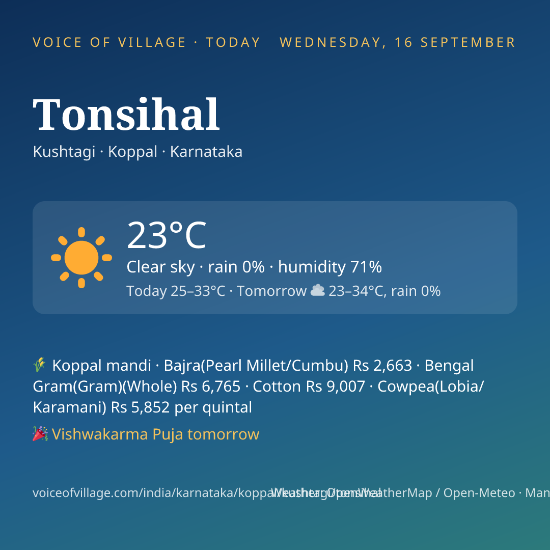 Tonsihal today