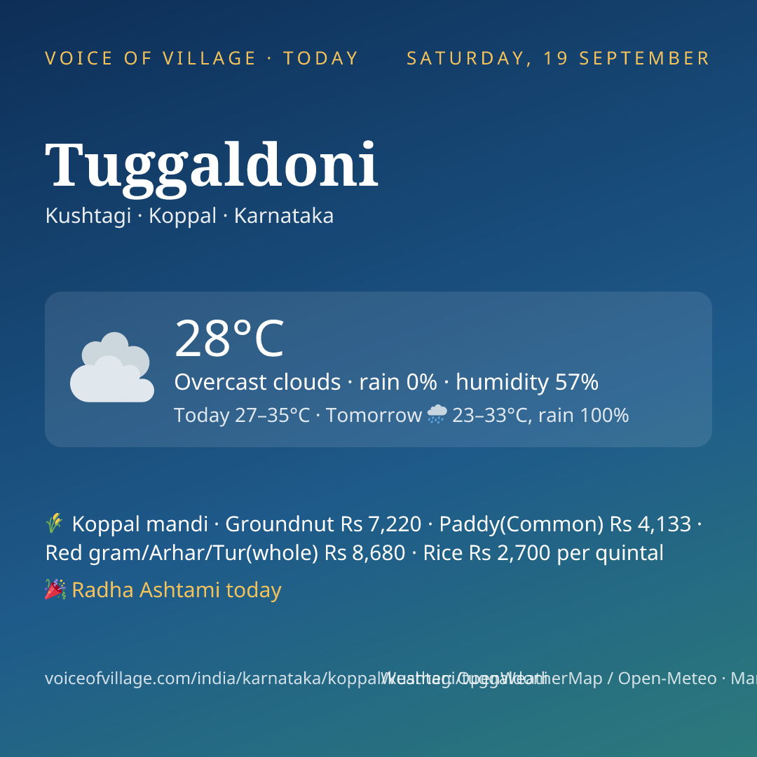 Tuggaldoni today