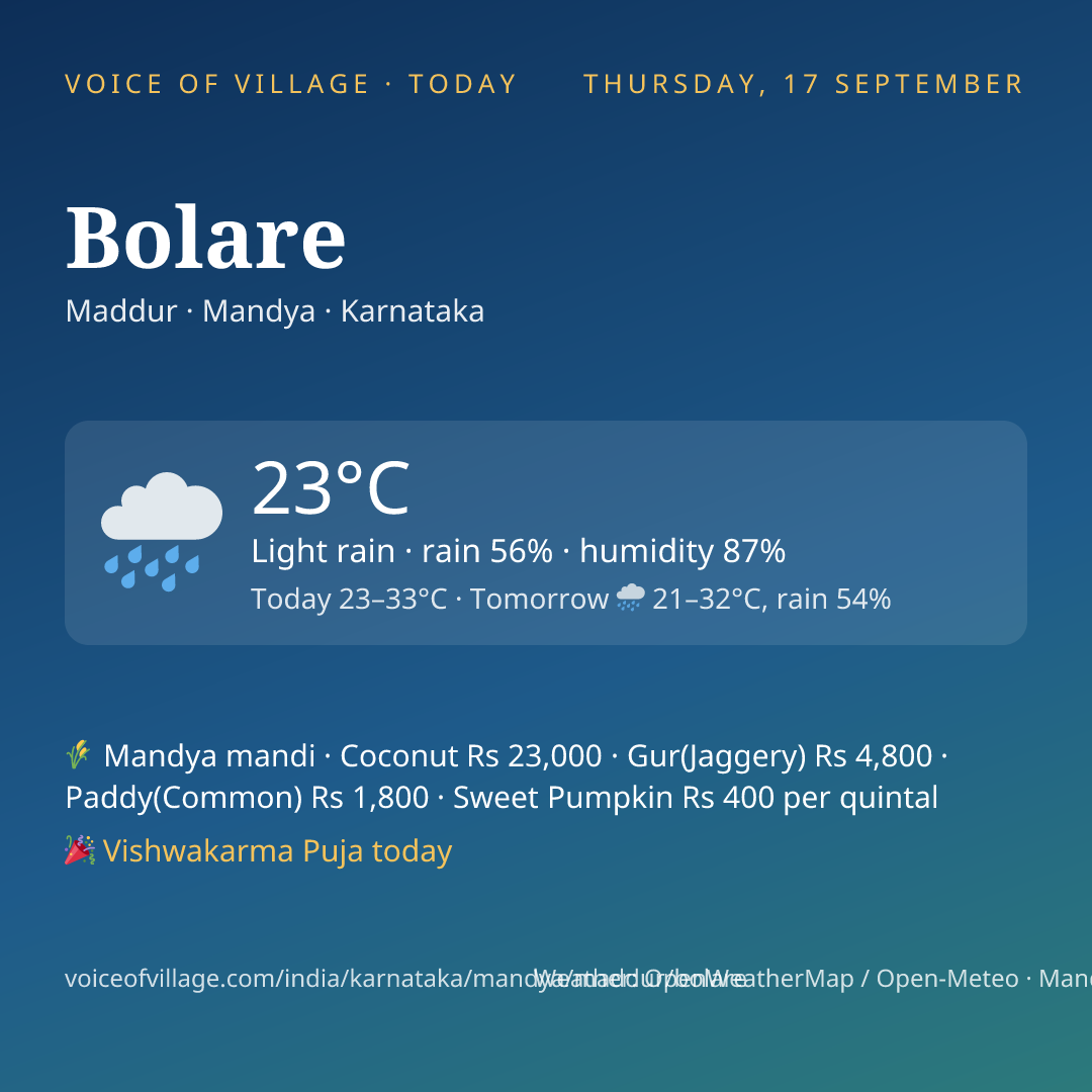 Bolare today