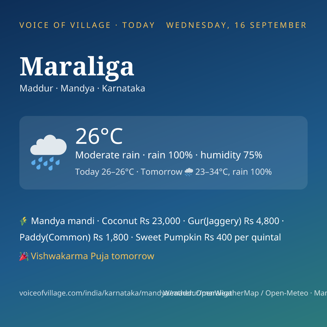 Maraliga today