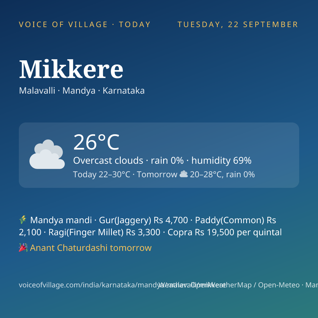 Mikkere today