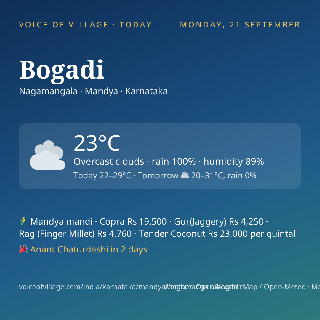 Bogadi today
