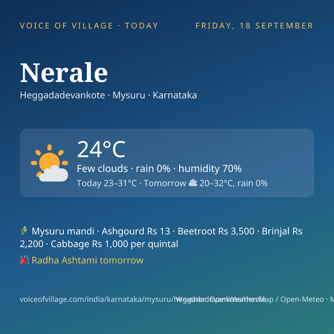 Nerale today