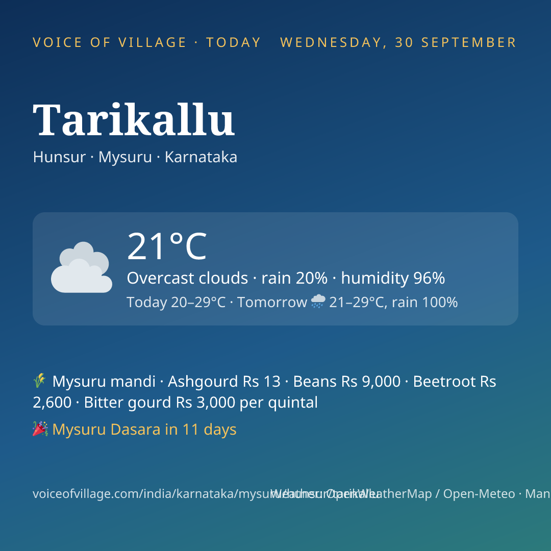 Tarikallu today