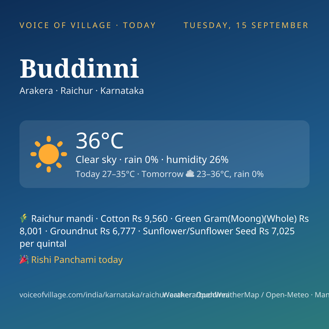 Buddinni today