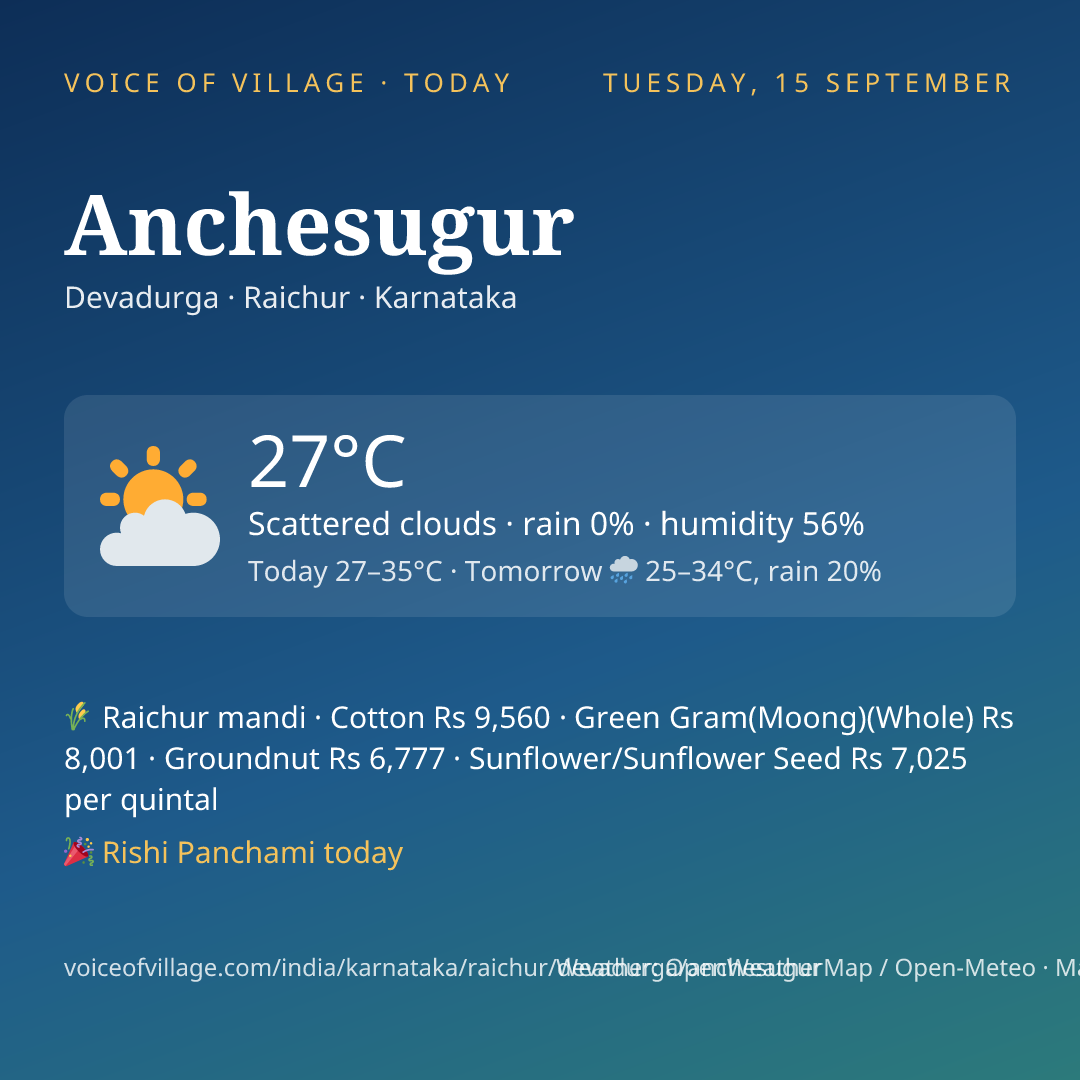 Anchesugur today