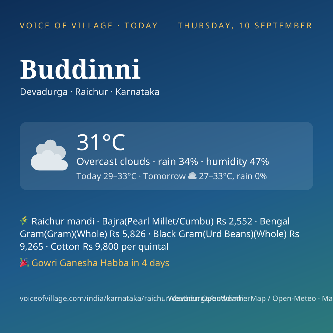 Buddinni today