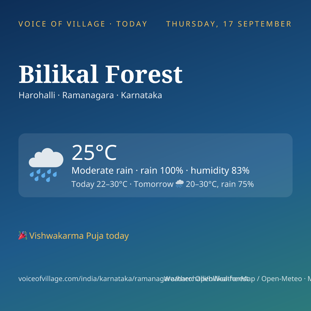 Bilikal Forest today