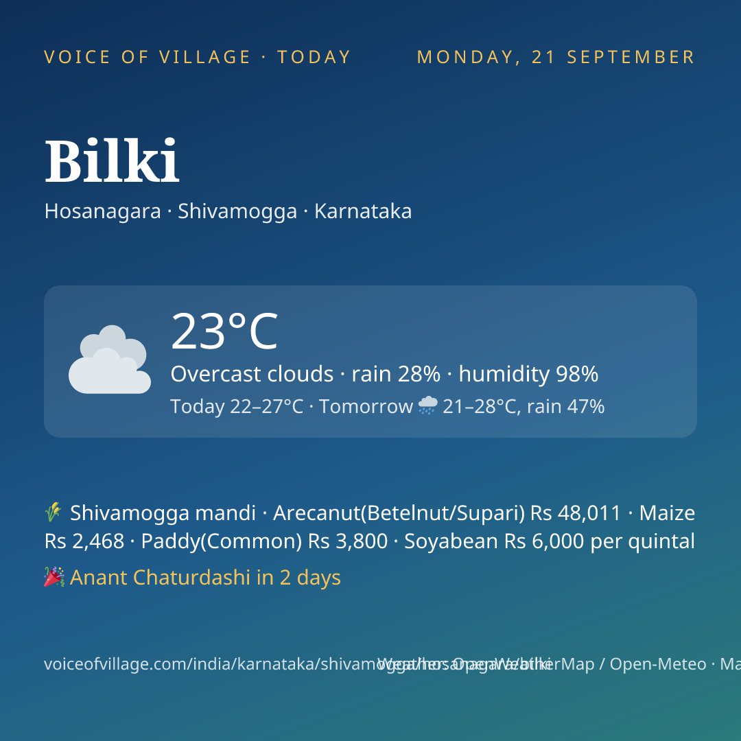 Bilki today