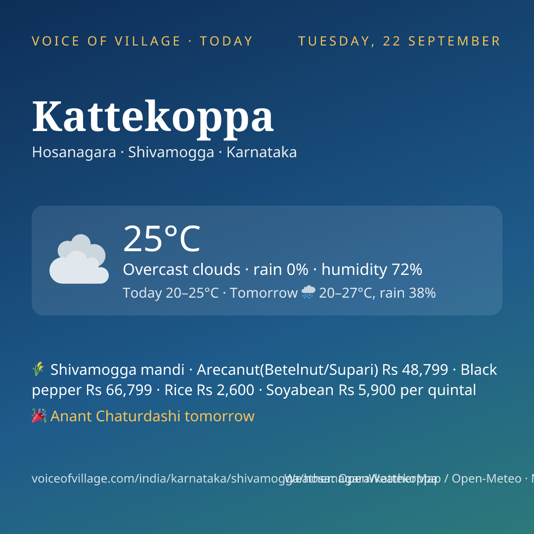 Kattekoppa today