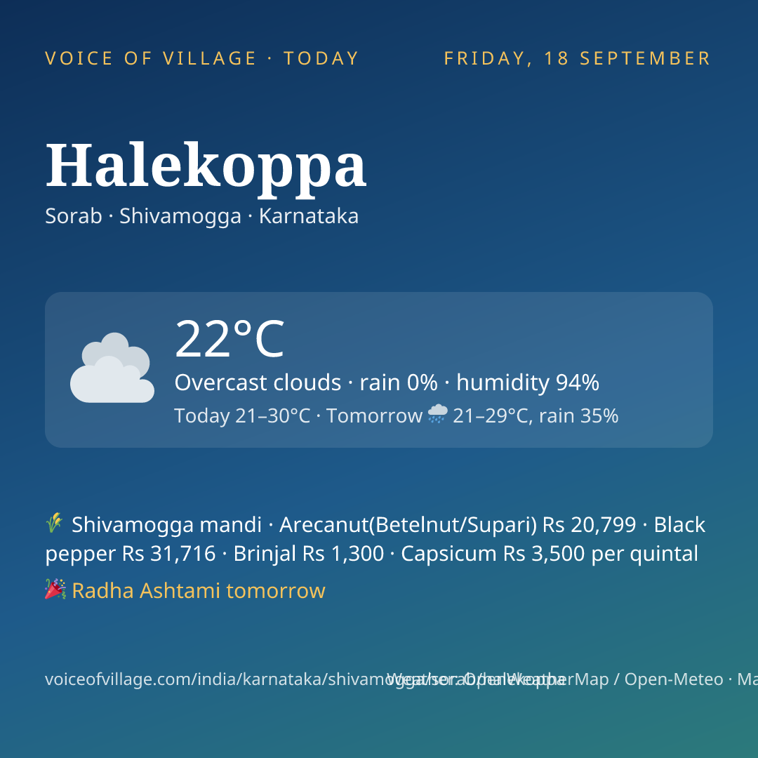 Halekoppa today