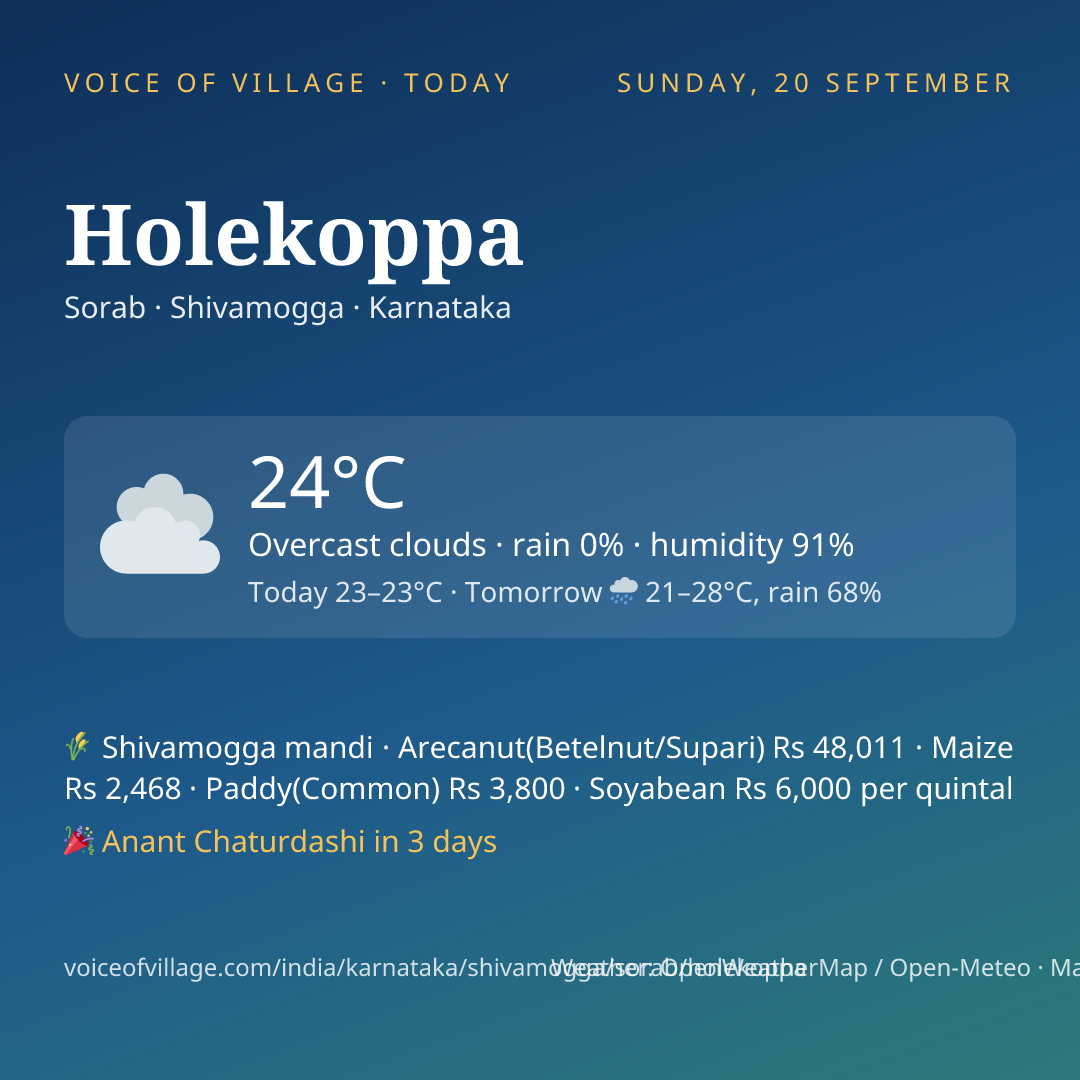 Holekoppa today