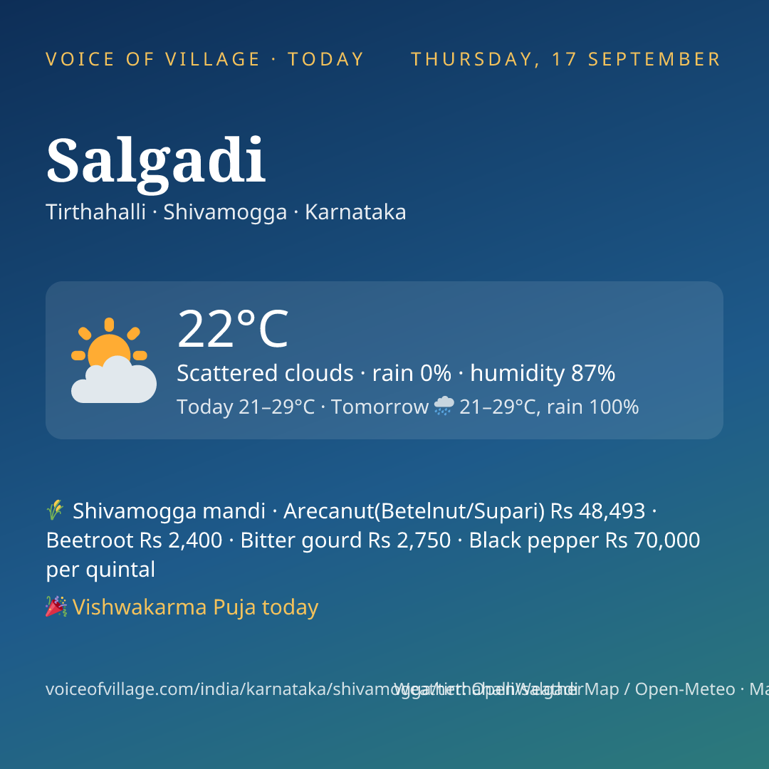Salgadi today