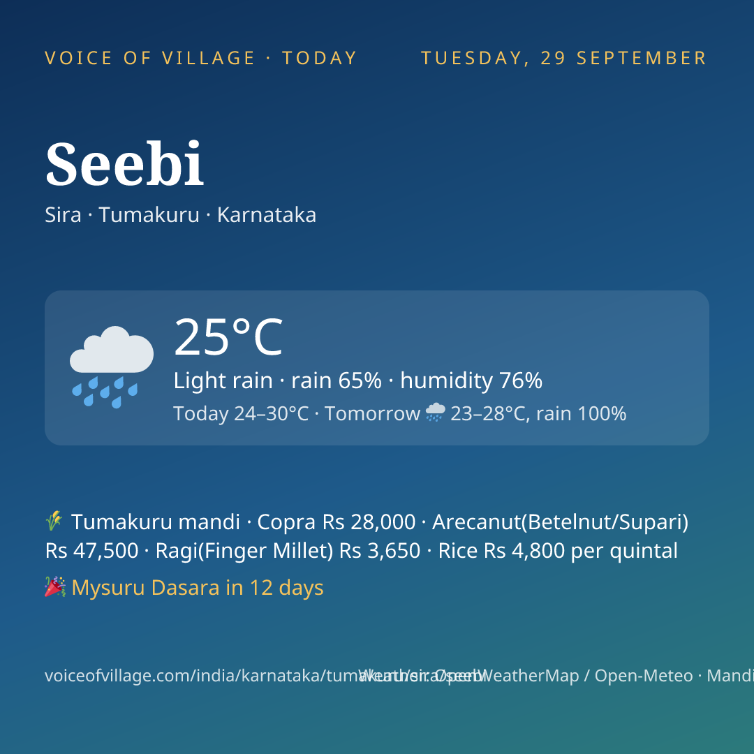 Seebi today
