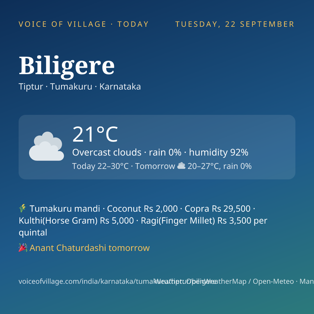 Biligere today