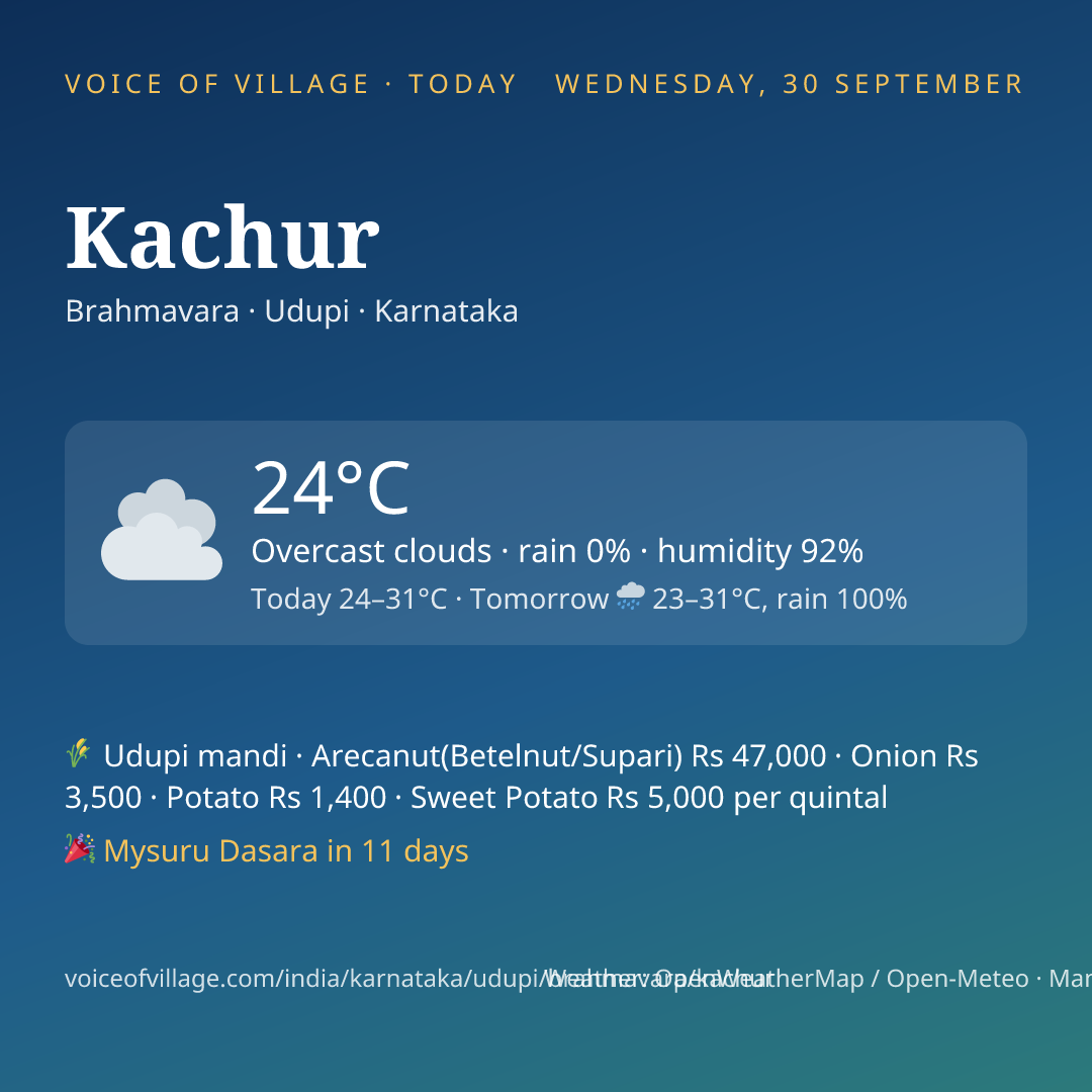 Kachur today