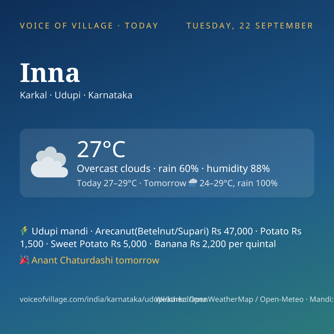 Inna today