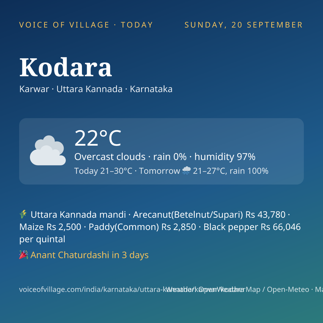 Kodara today