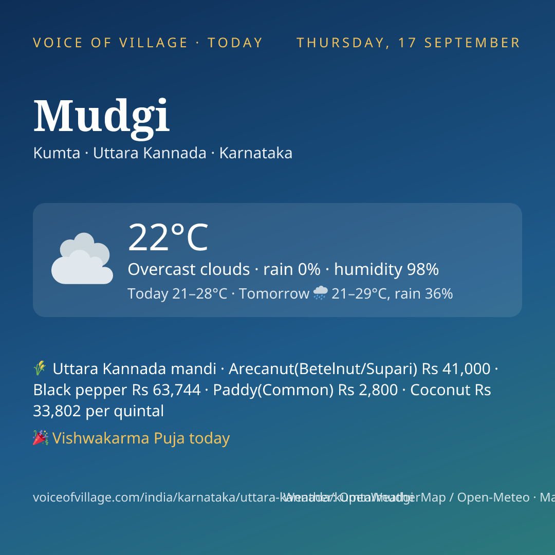 Mudgi today