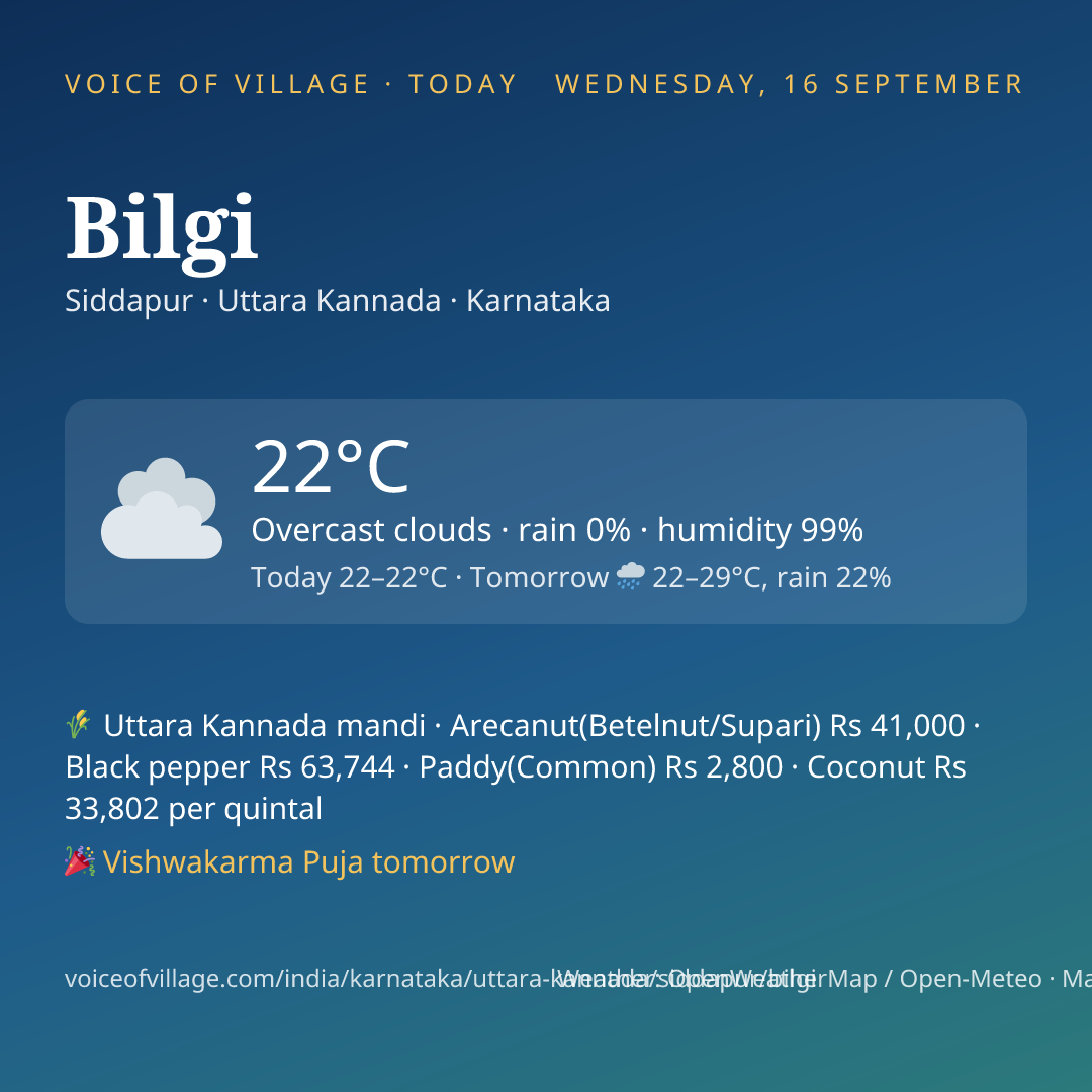 Bilgi today