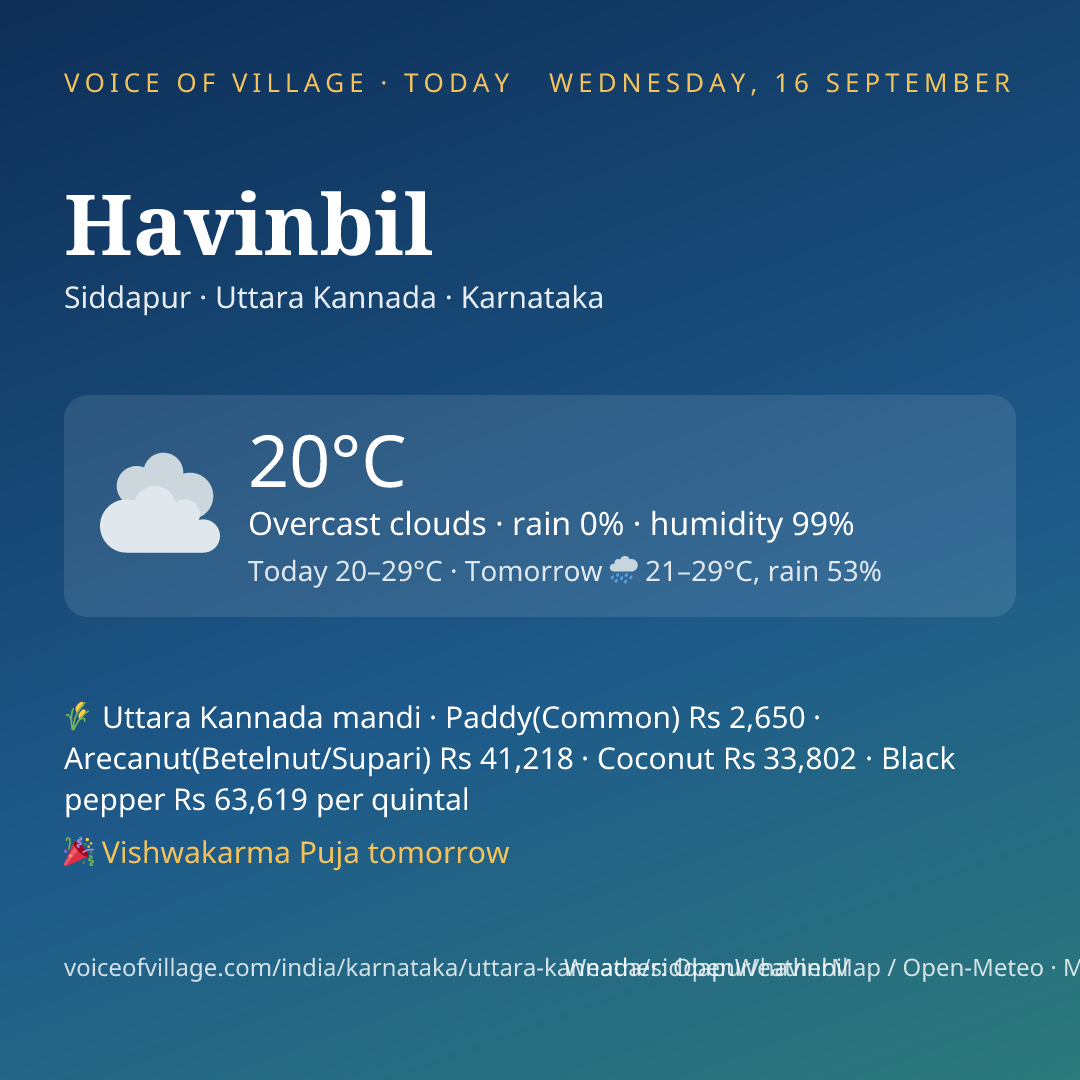 Havinbil today