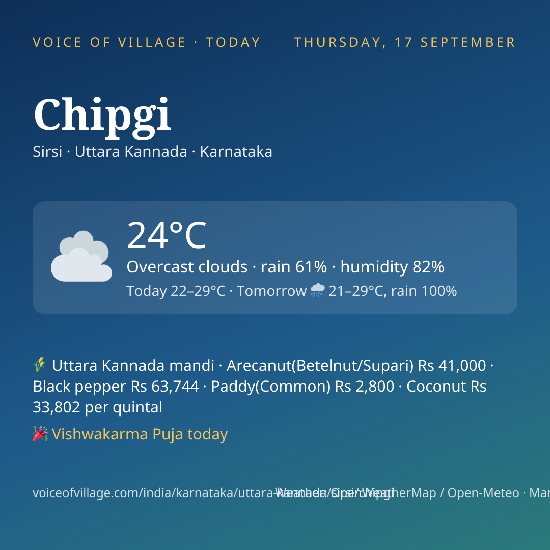 Chipgi today