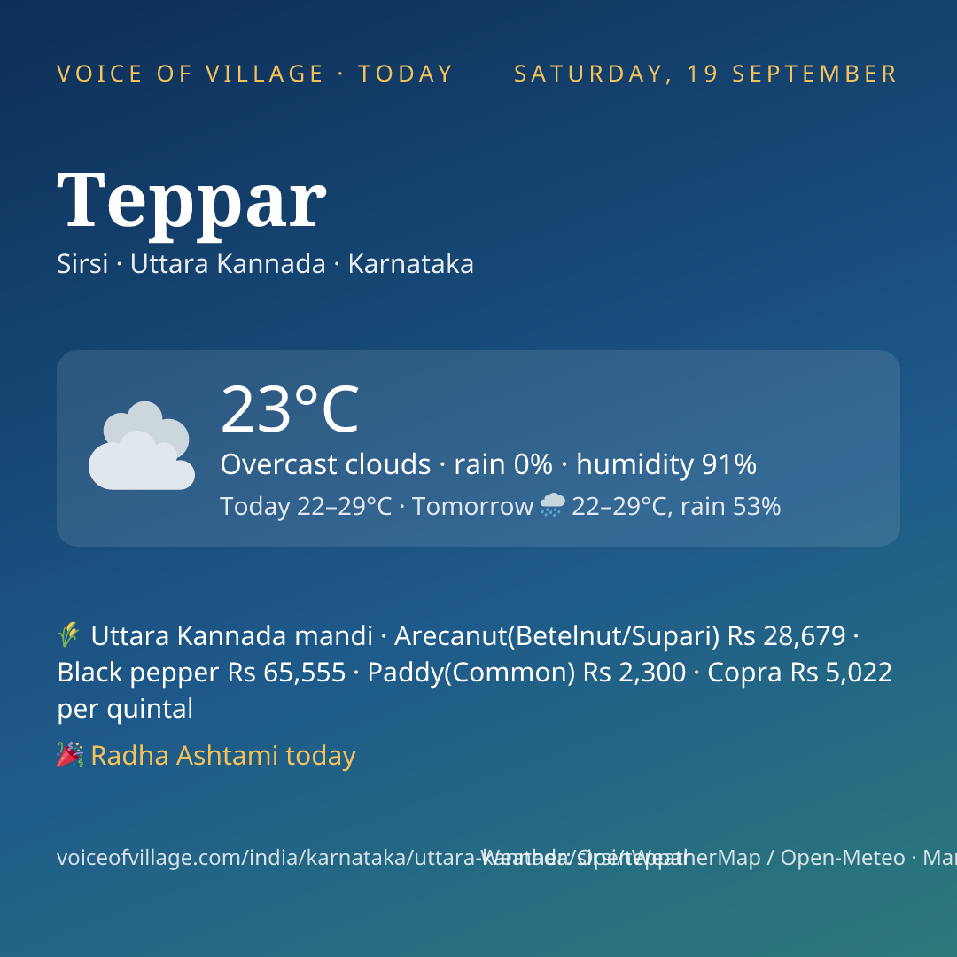 Teppar today