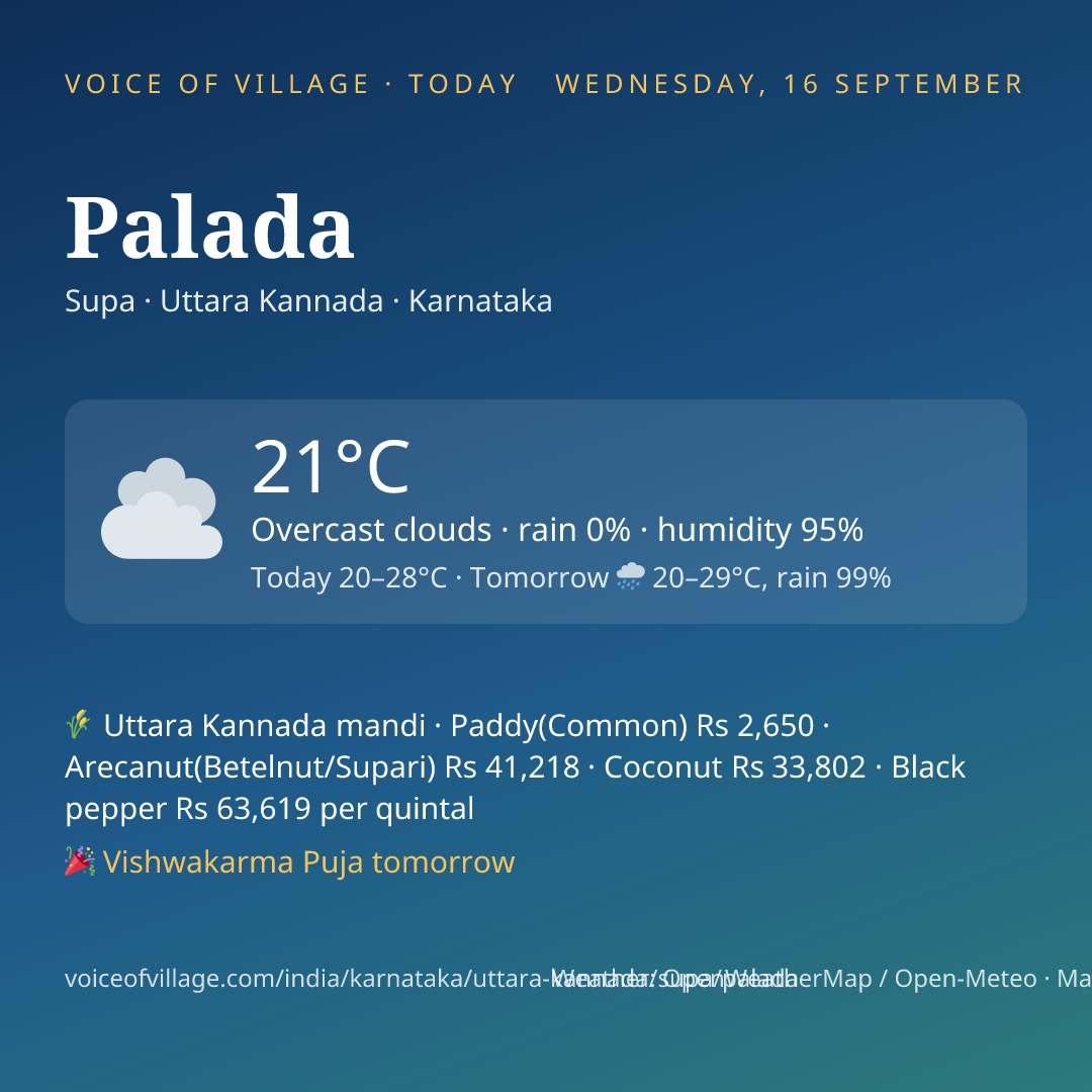Palada today