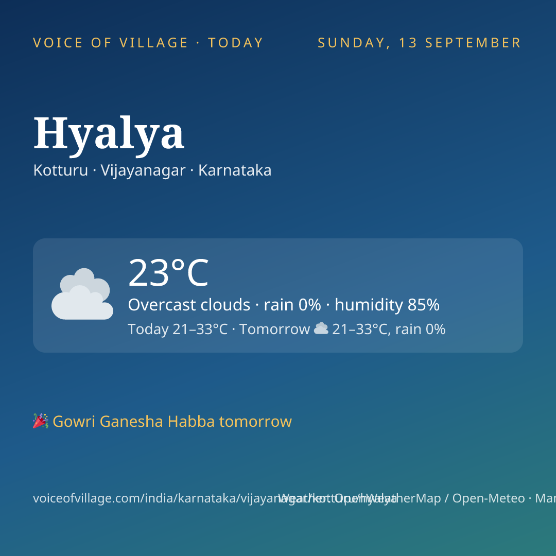 Hyalya today