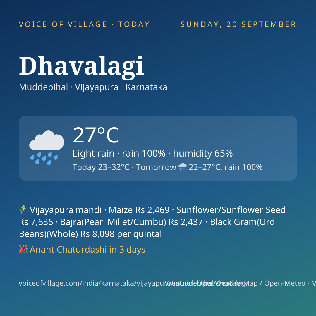 Dhavalagi today