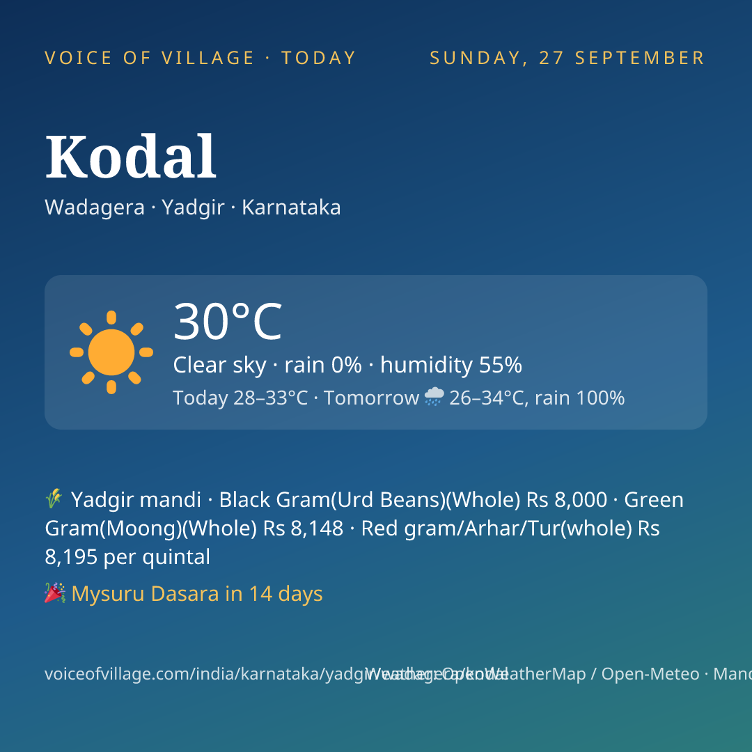 Kodal today