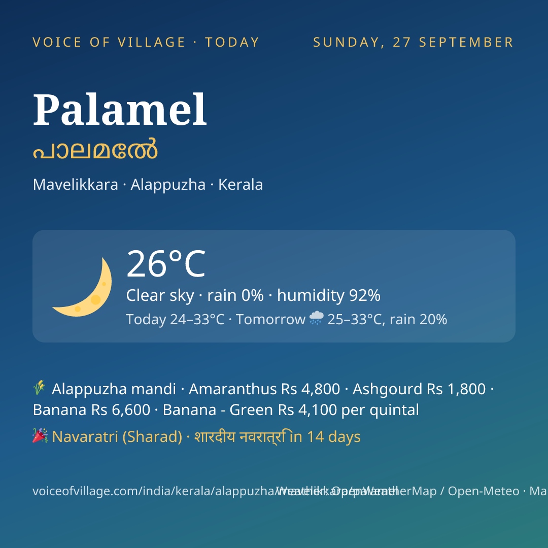 Palamel today