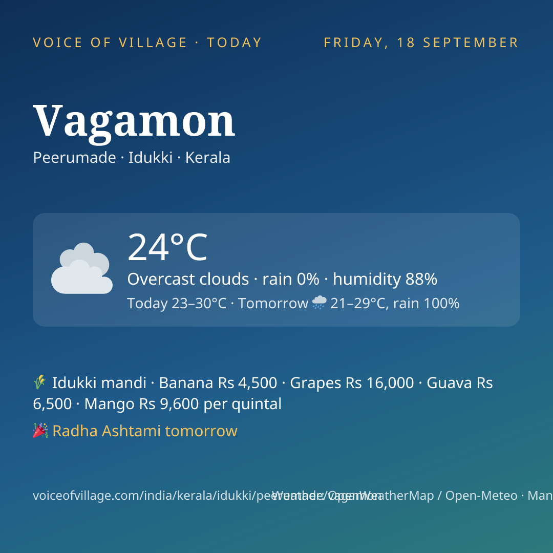 Vagamon today