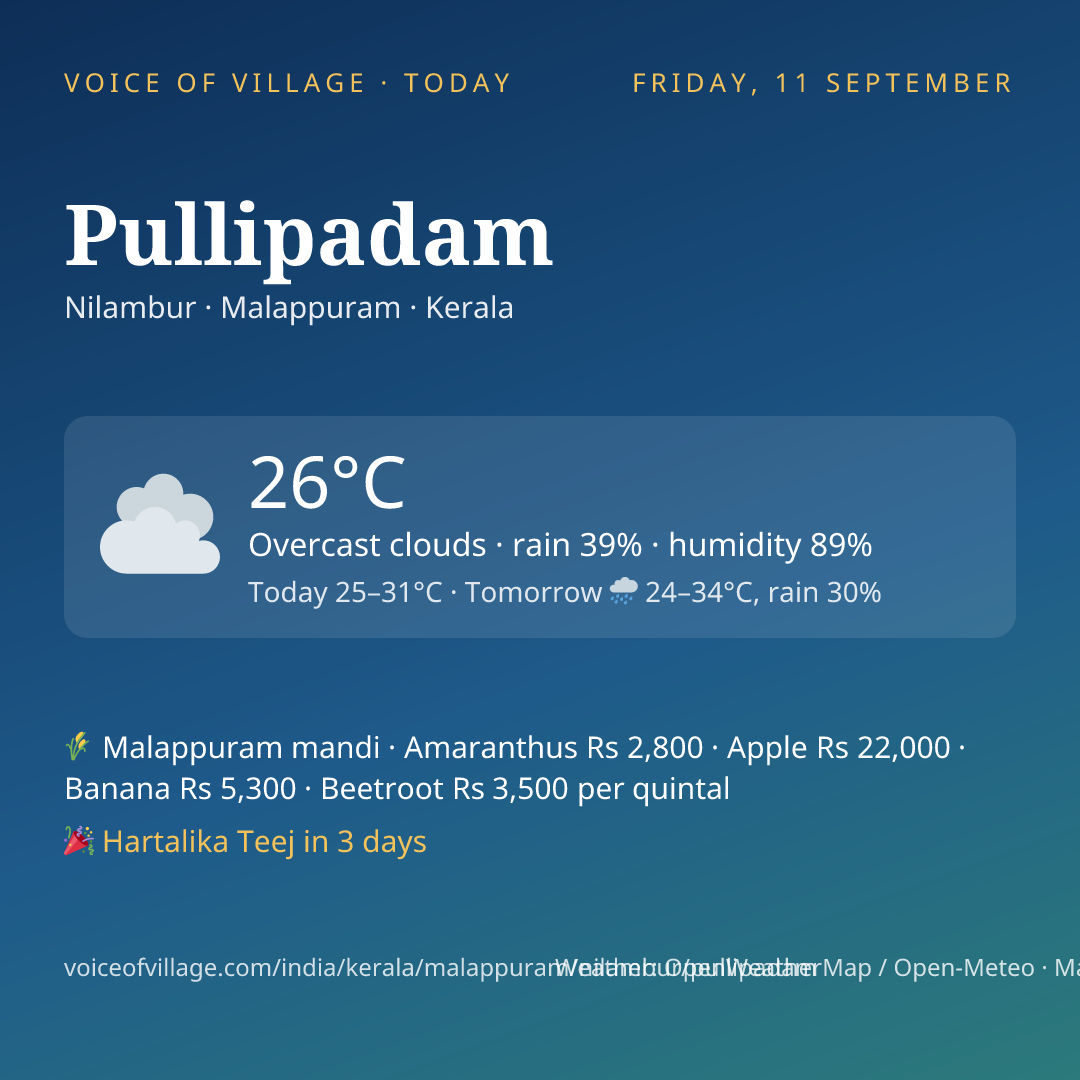 Pullipadam today