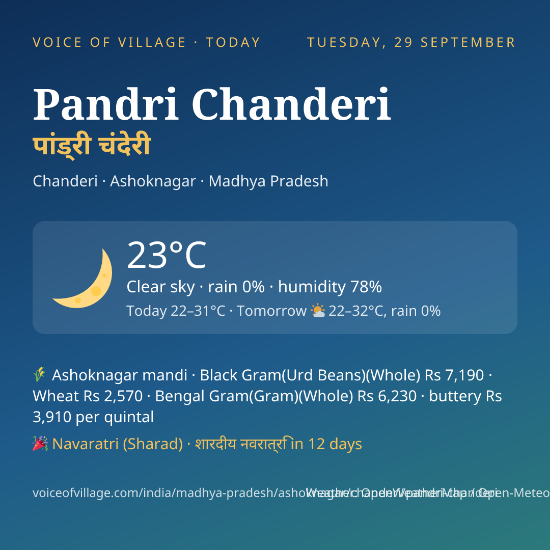 Pandri Chanderi today