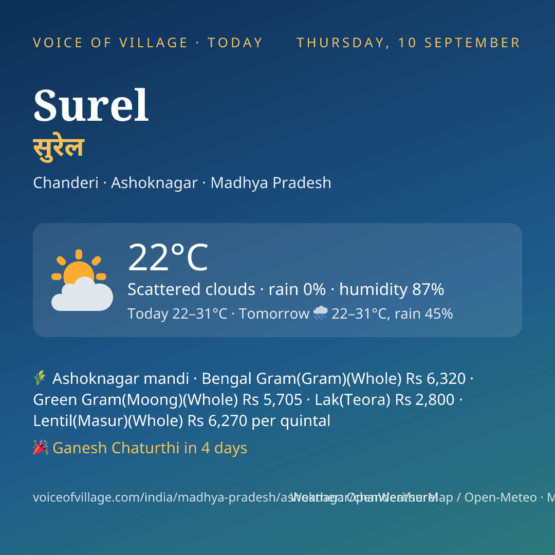 Surel today