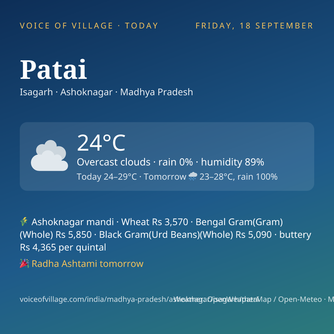 Patai today