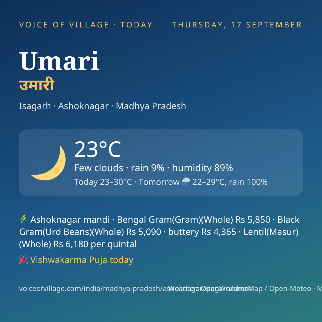 Umari today