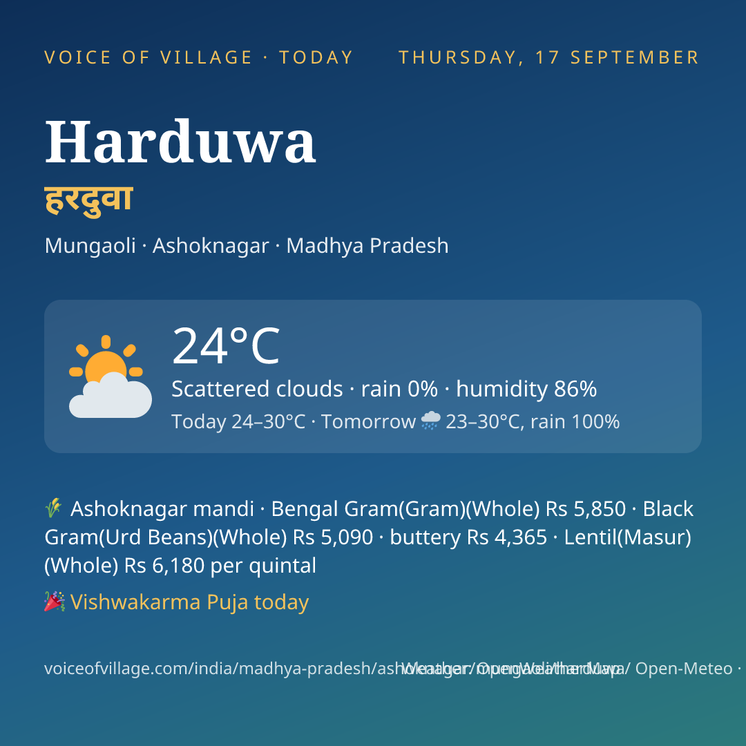 Harduwa today