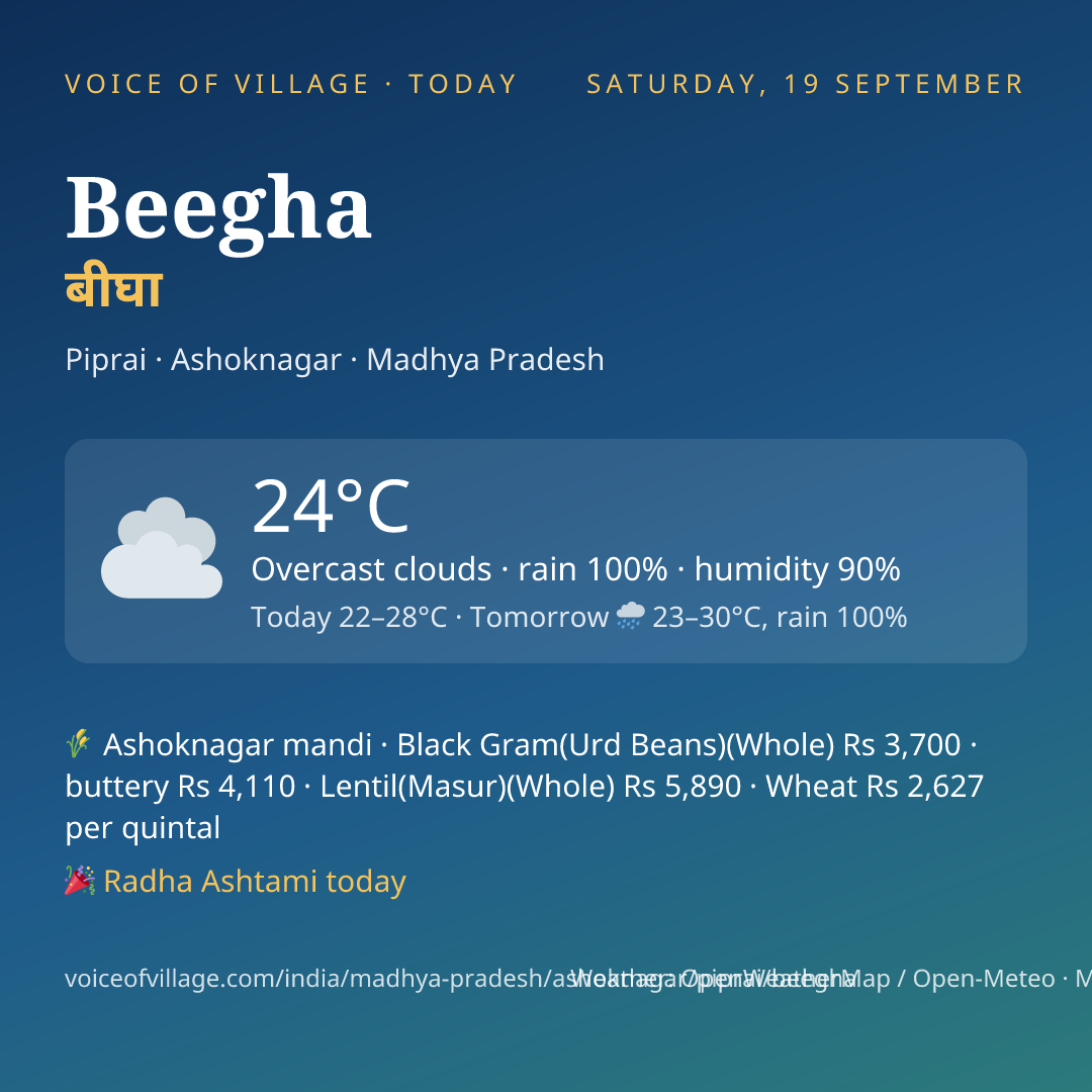 Beegha today