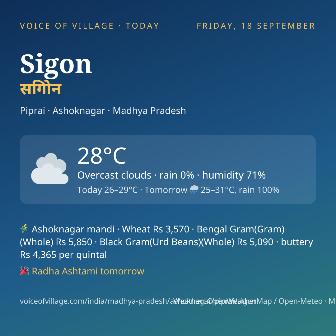 Sigon today
