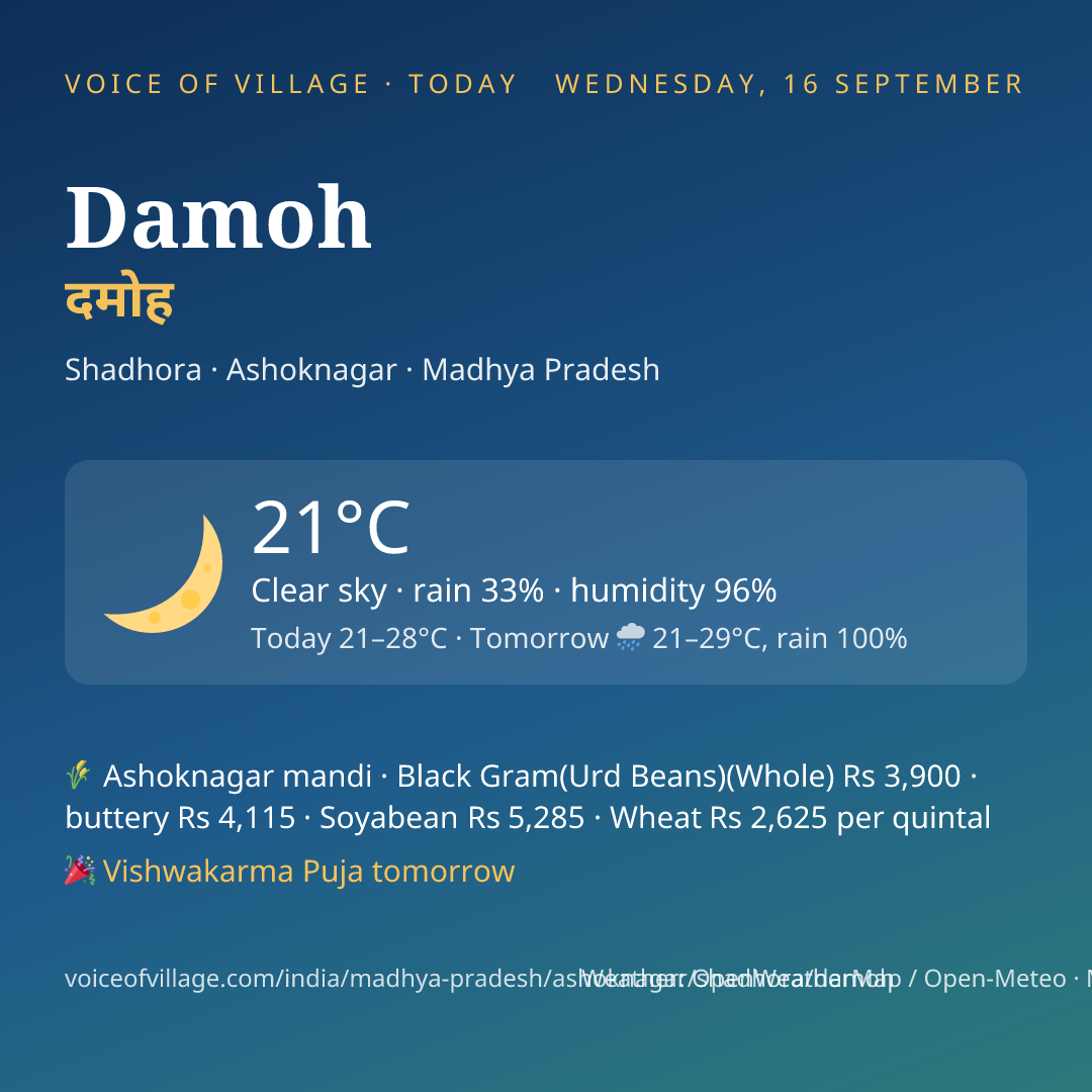 Damoh today