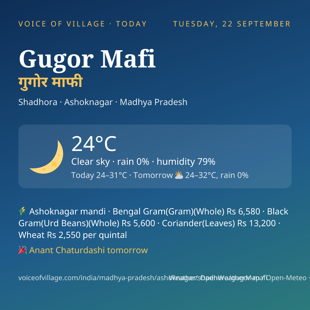 Gugor Mafi today