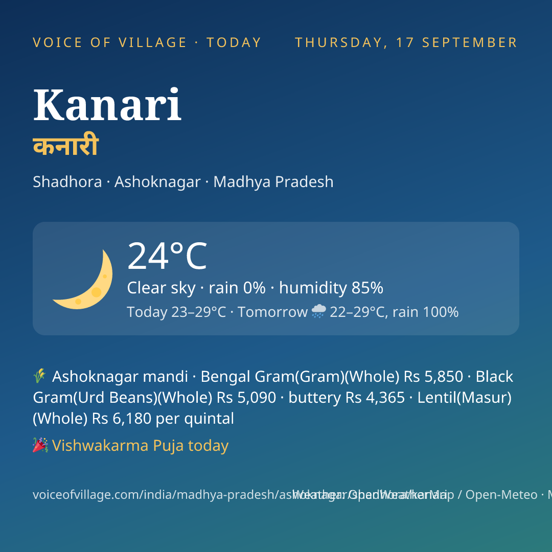 Kanari today
